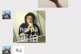 凤翔债务清欠服务